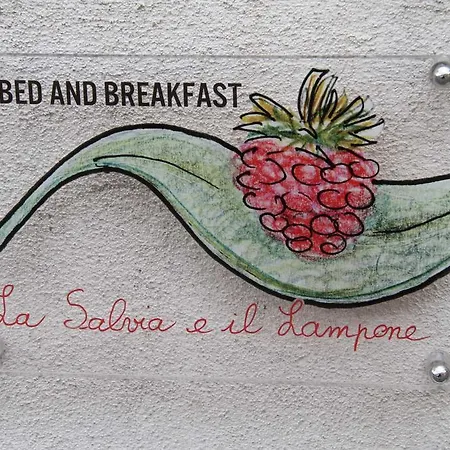 Frühstückspension La Salvia E Il Lampone 3*